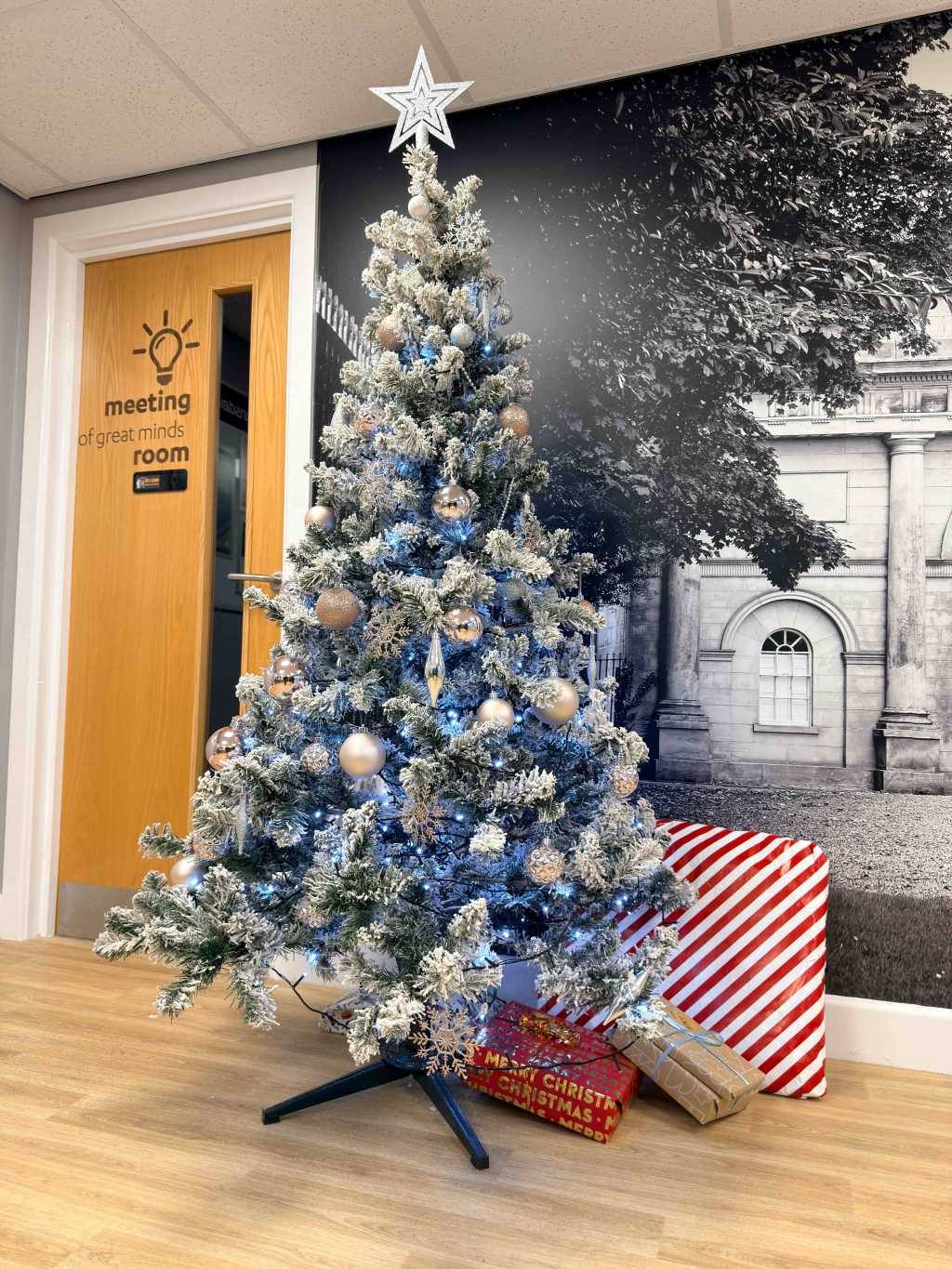 christmas-jumper-day-dec25_transdev-corner-web.png10.jpg